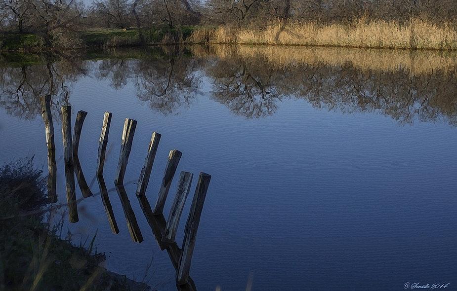 De bon matin sur le lac