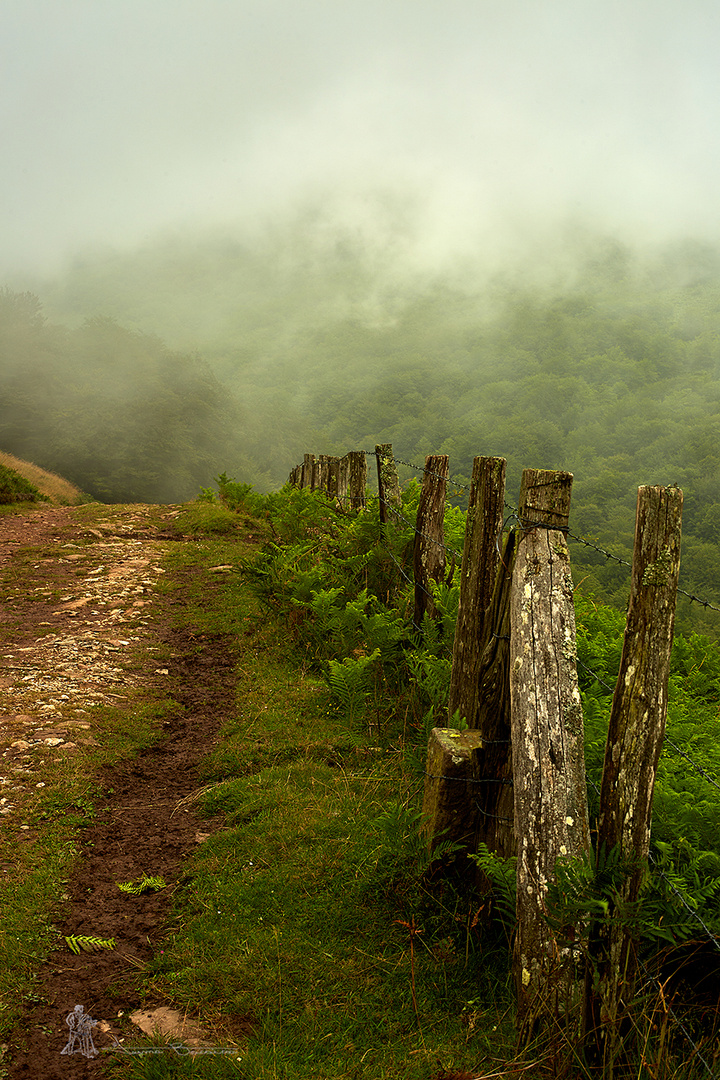 De caminos y nieblas