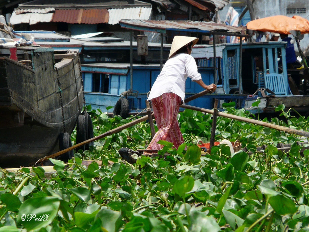 de compras en el mecado flotante