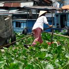 de compras en el mecado flotante