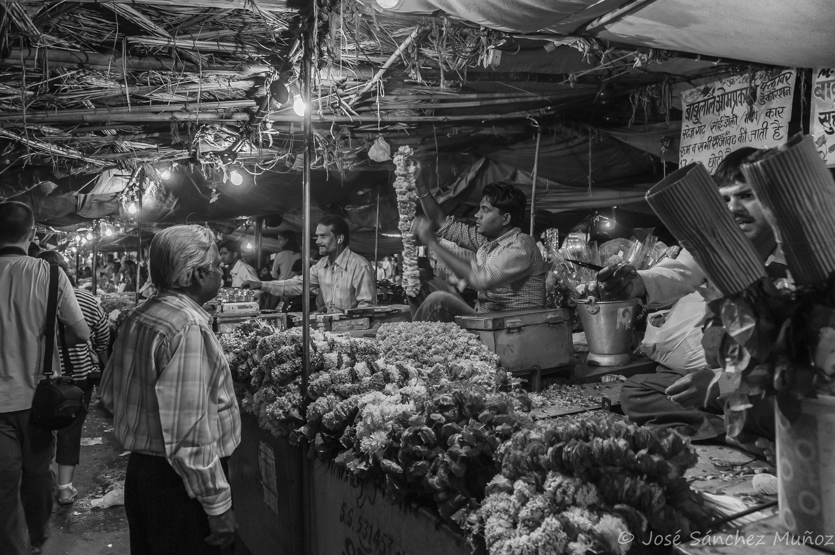 De compras en una floristería