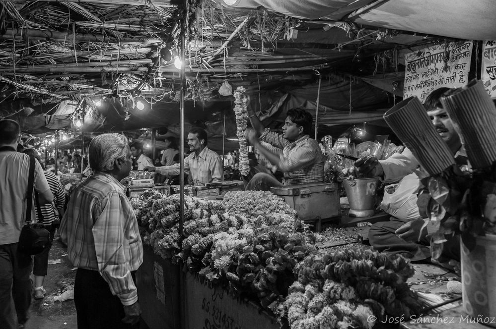 De compras en una floristería