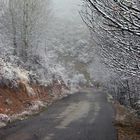 DE CORTÀS A ELLER (CERDANYA)