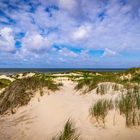 De duinen van Egmond aan Zee .2