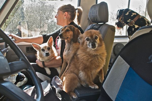 De excursión con parte de la familia