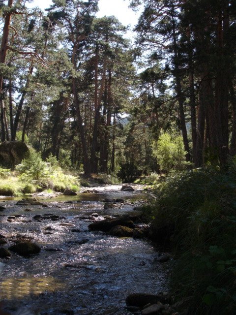 de excursion por el rio