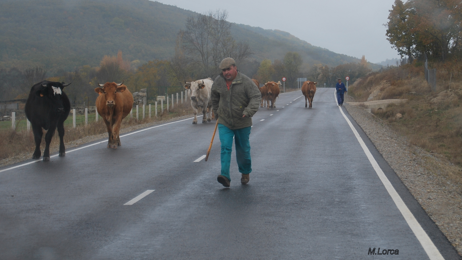 de frente en la carretera