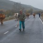 de frente en la carretera