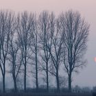 De Gelderse Poort - Naturschutzgebiet Düffel - Abendstimmung