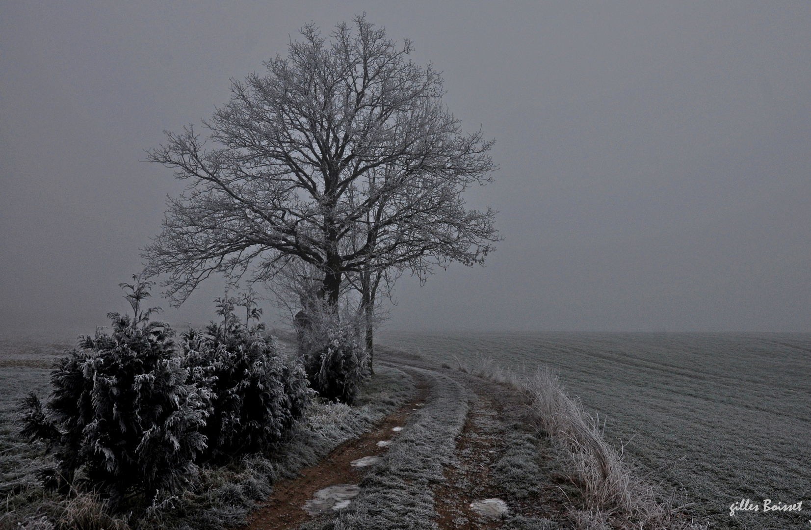 de givre et de brume