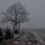 de givre et de brume