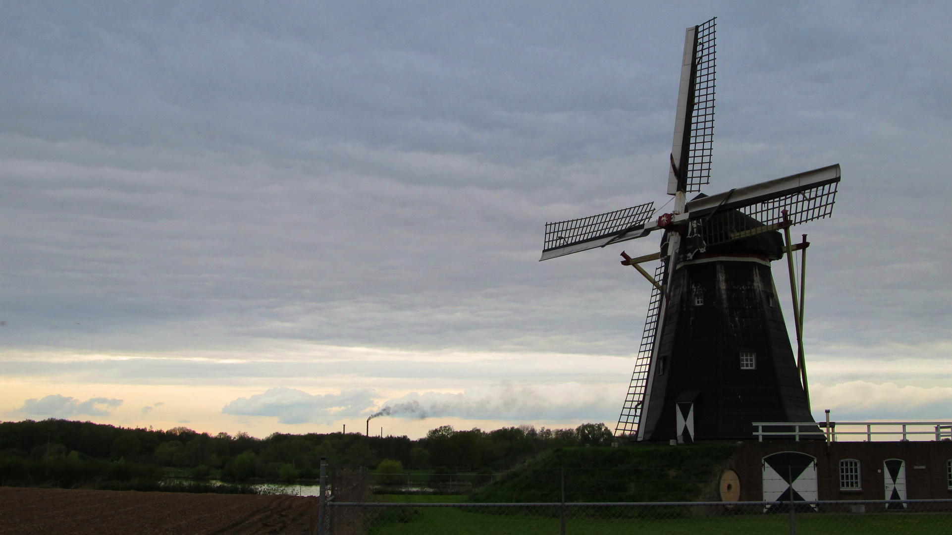 De Grauwe Beer, NL