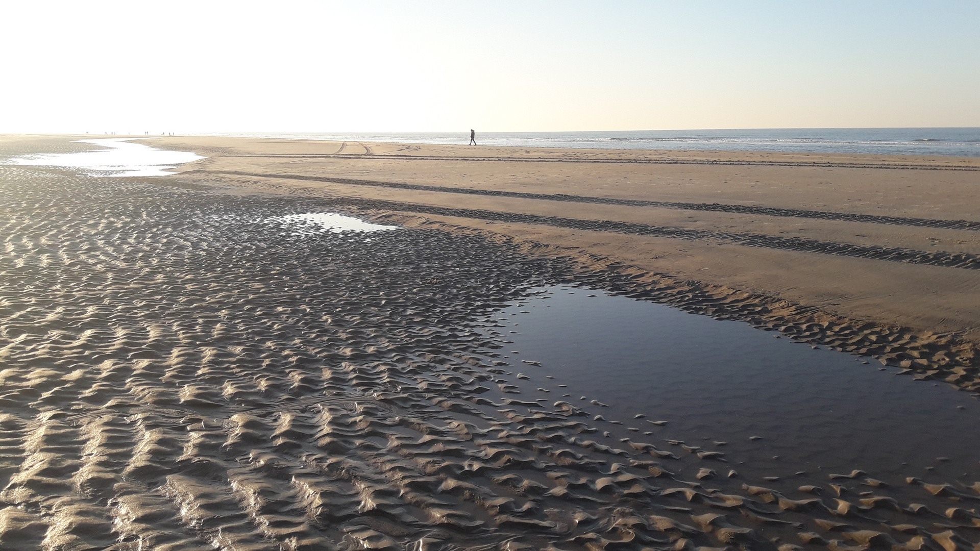 De haan aan zee