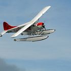 De Havilland Beaver