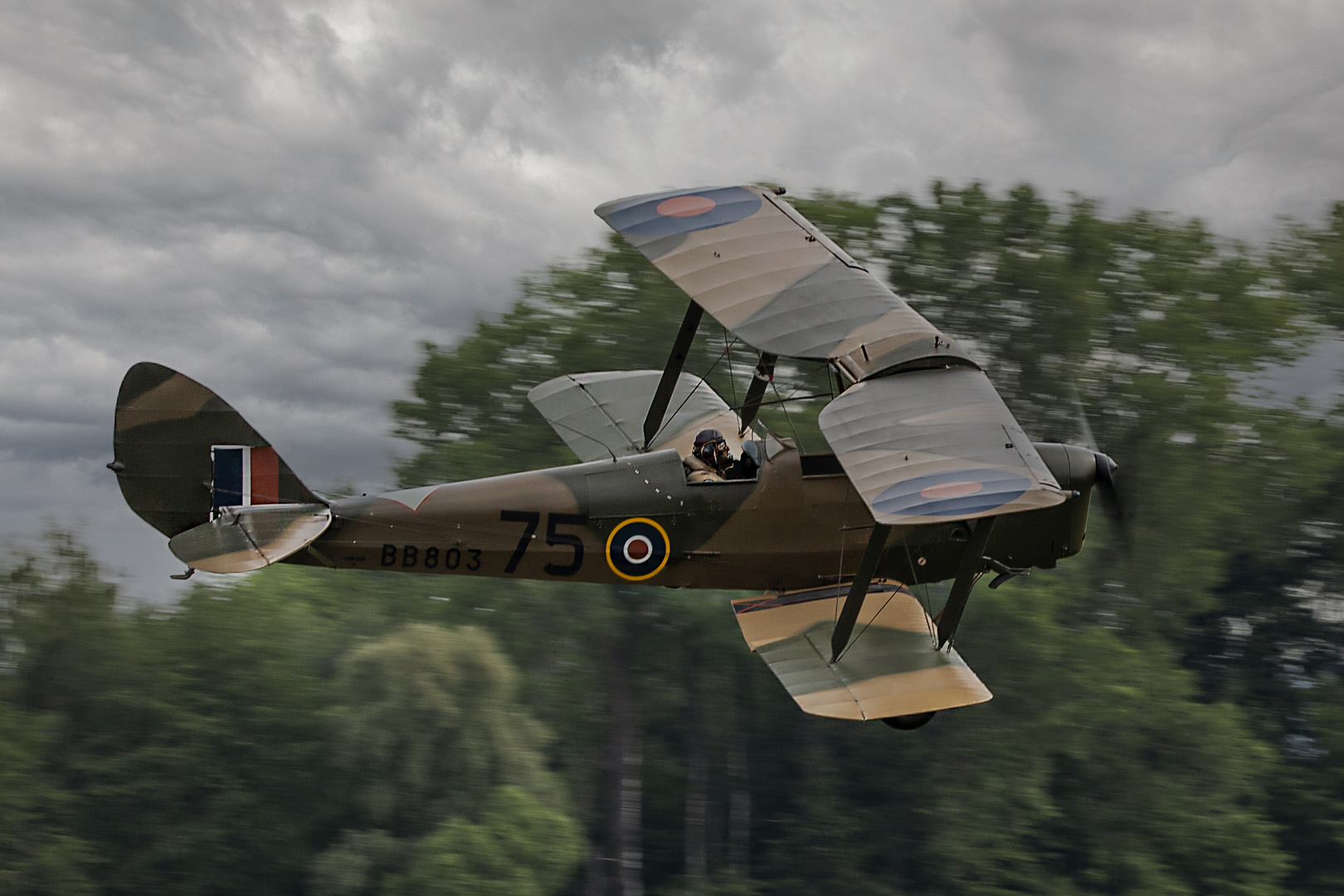 De Havilland DH.82 Tiger Moth