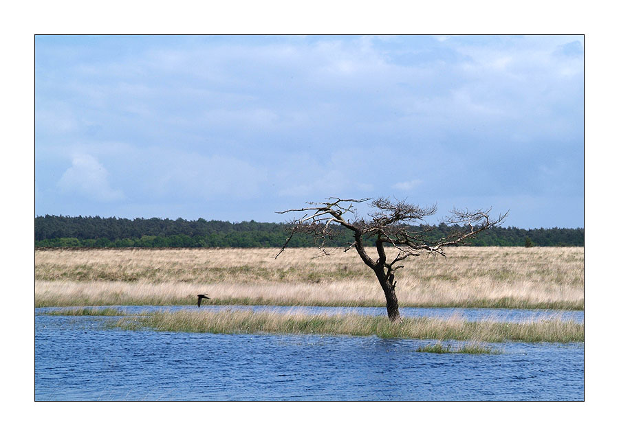 De Hoge Veluwe 02