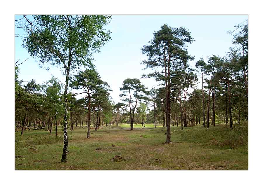 De Hoge Veluwe 04