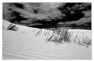 De Hoop - black & white [reload] by Alexander Heinrichs