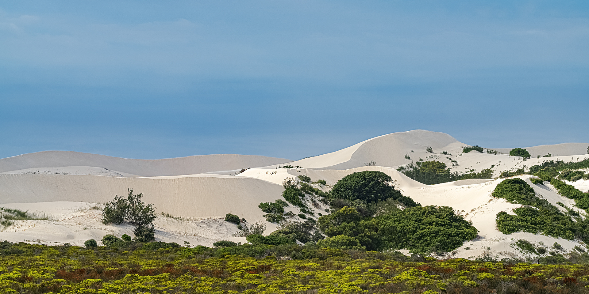 De Hoop Nature Reserve