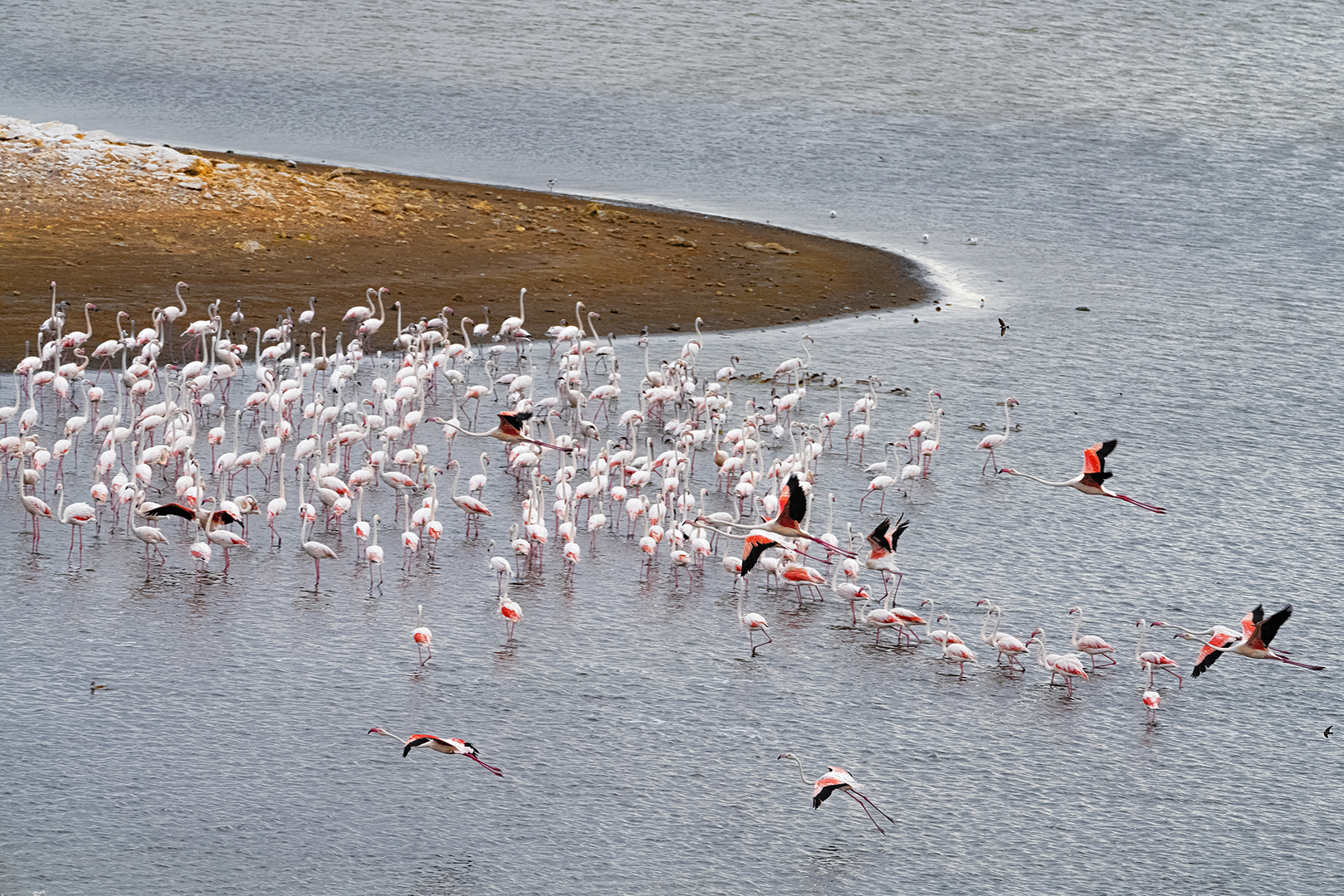 De Hoop Nature Reserve