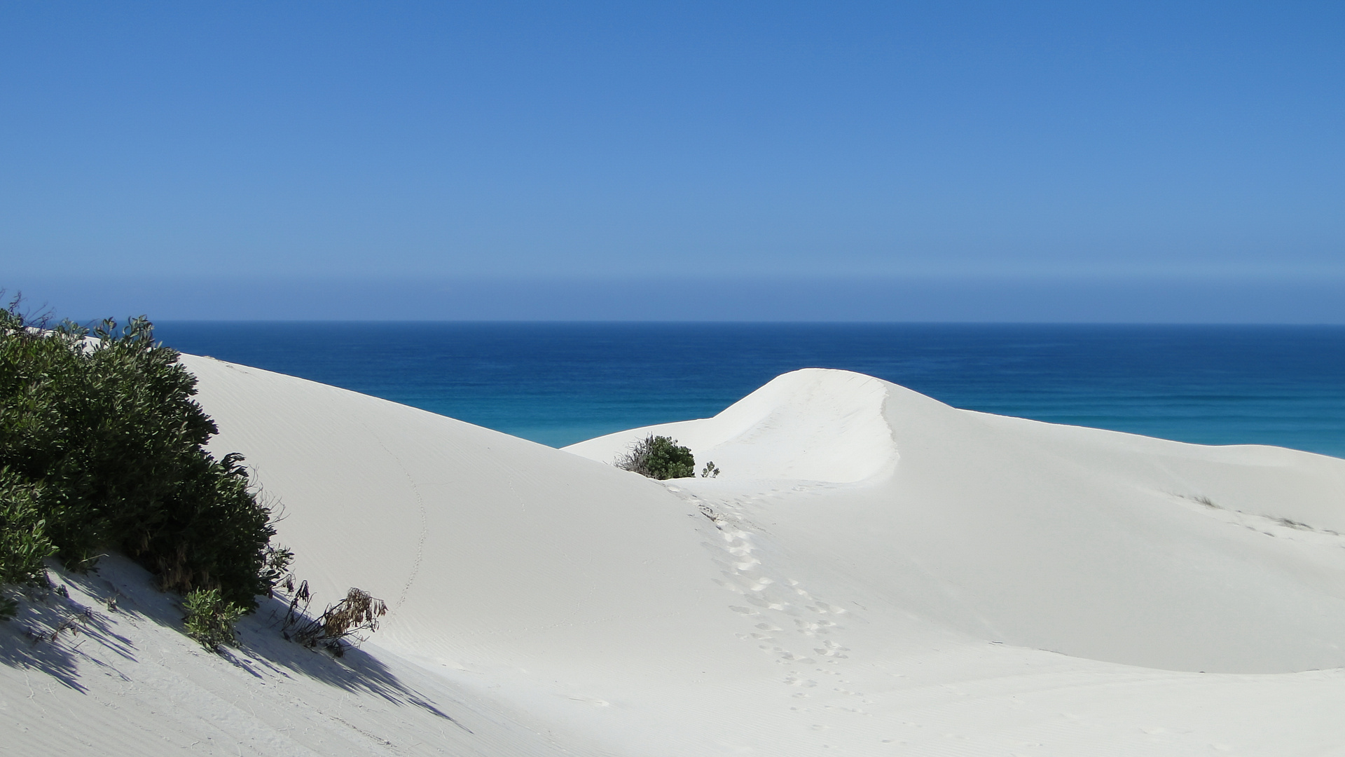 De Hoop Nature Reserve