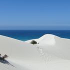 De Hoop Nature Reserve