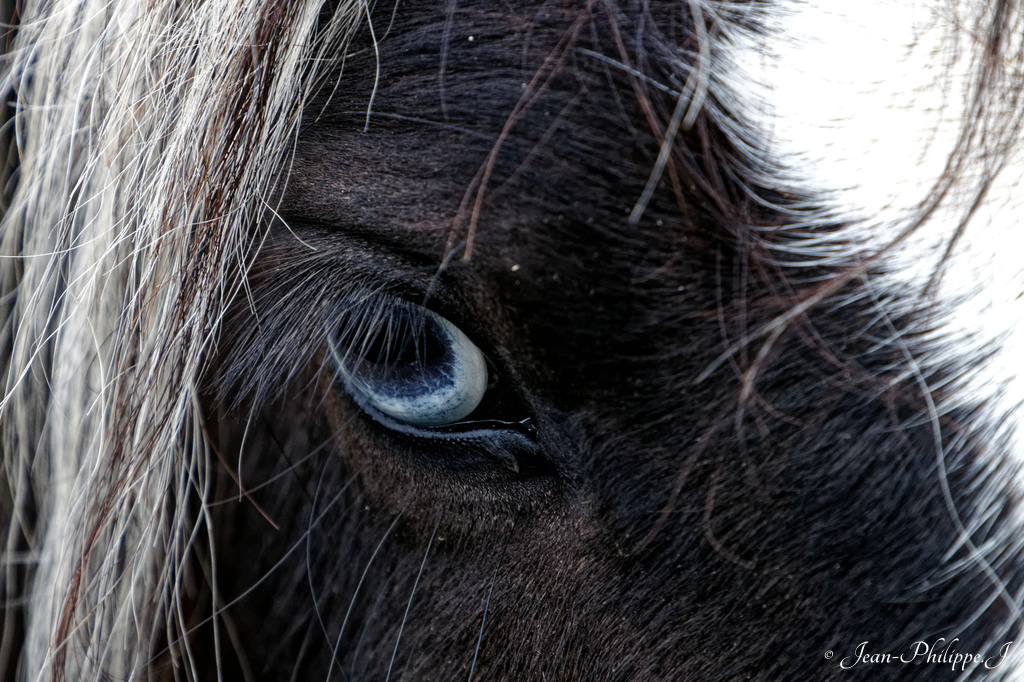 De jolie yeux - 