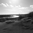 De Krim auf Texel