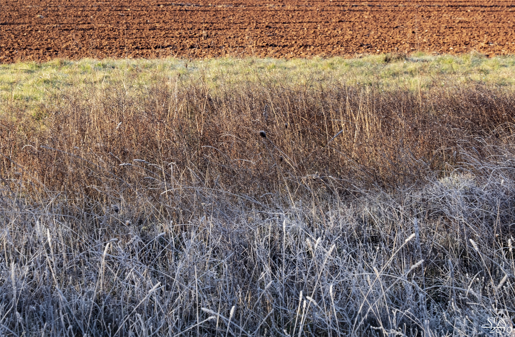 De l 'ombre givrée au soleil des terres labourées 