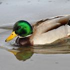 De la glace à l'eau