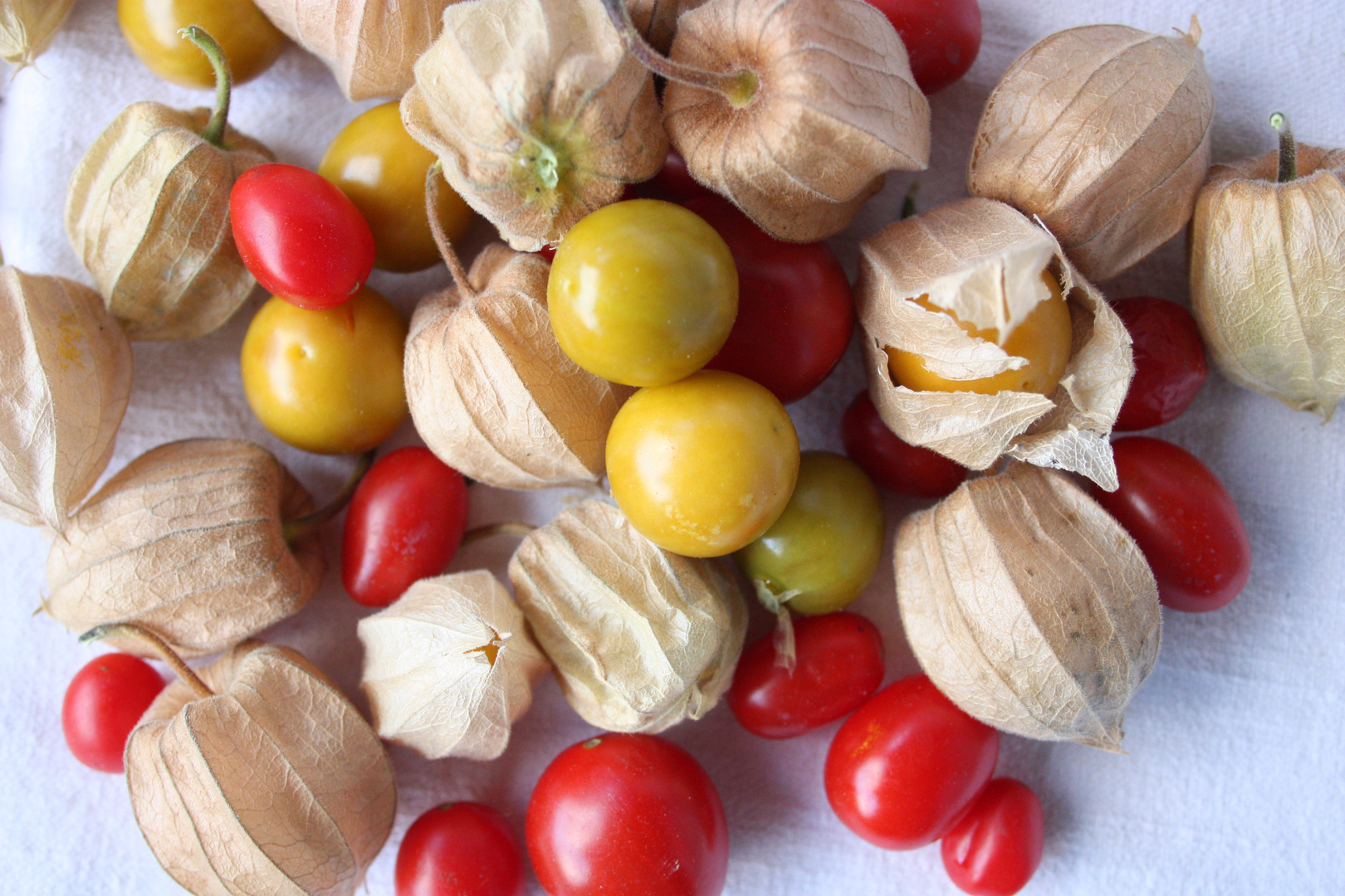 De la graine au fruit