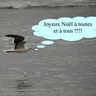 de la part de la mouette !!!!!!!!!!!!!