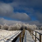 De la réalité vers le rêve ?