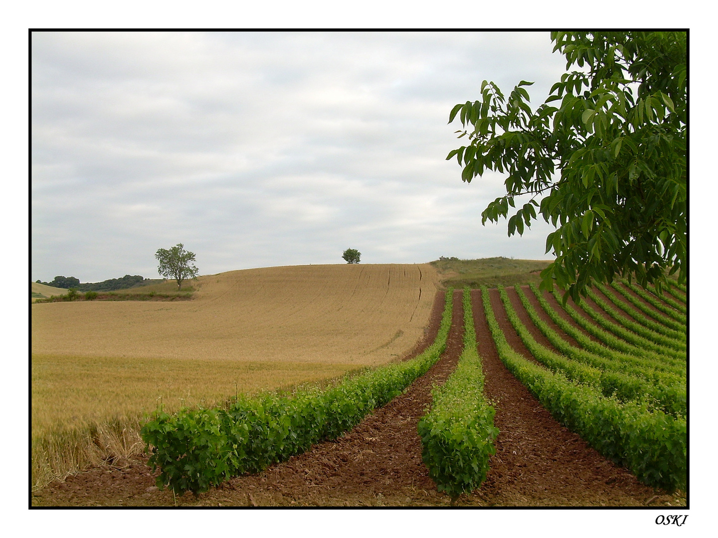 DE LA RIOJA A CASTILLA