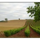 DE LA RIOJA A CASTILLA