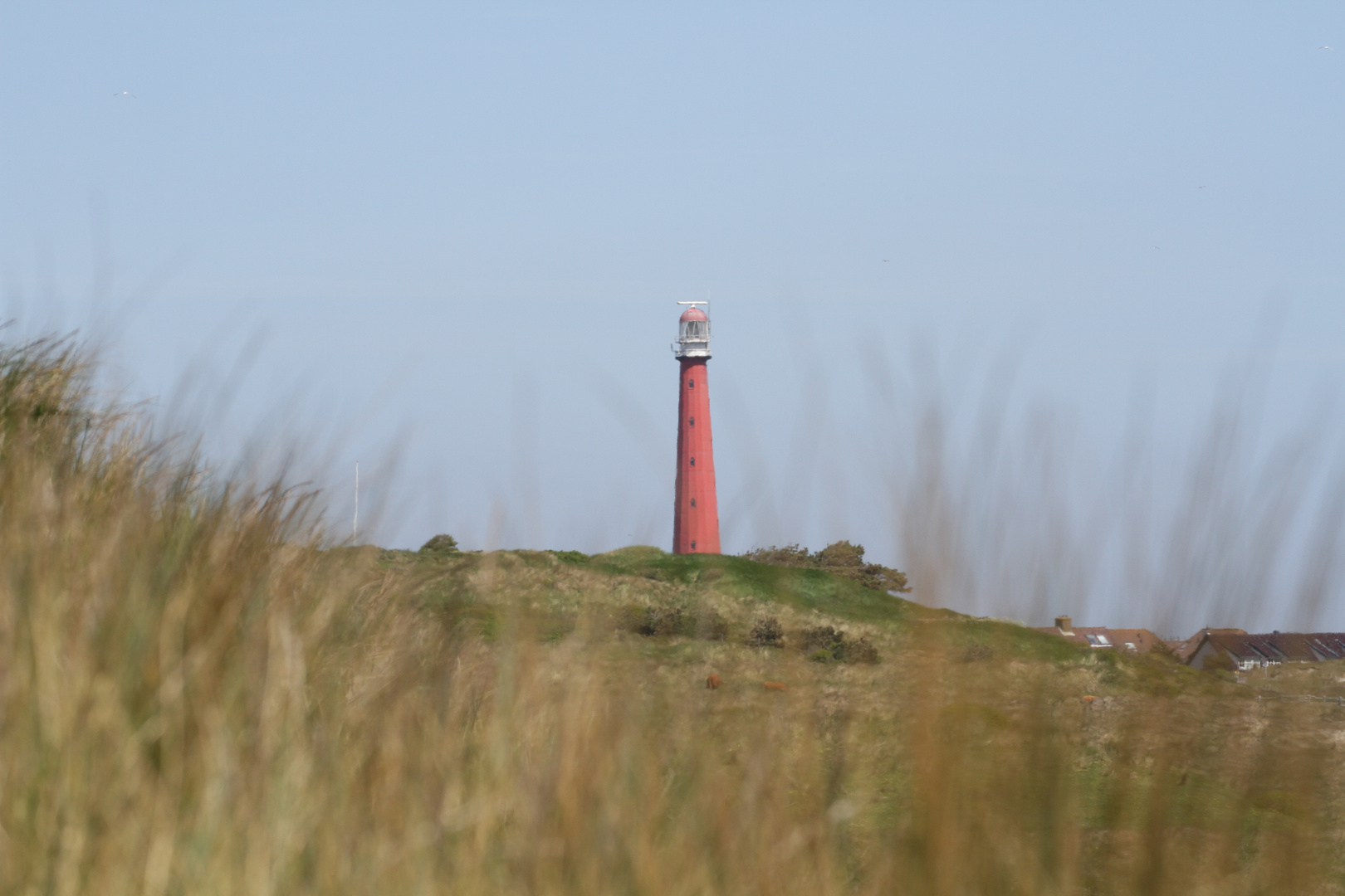 de lange Jaap in Den Helder