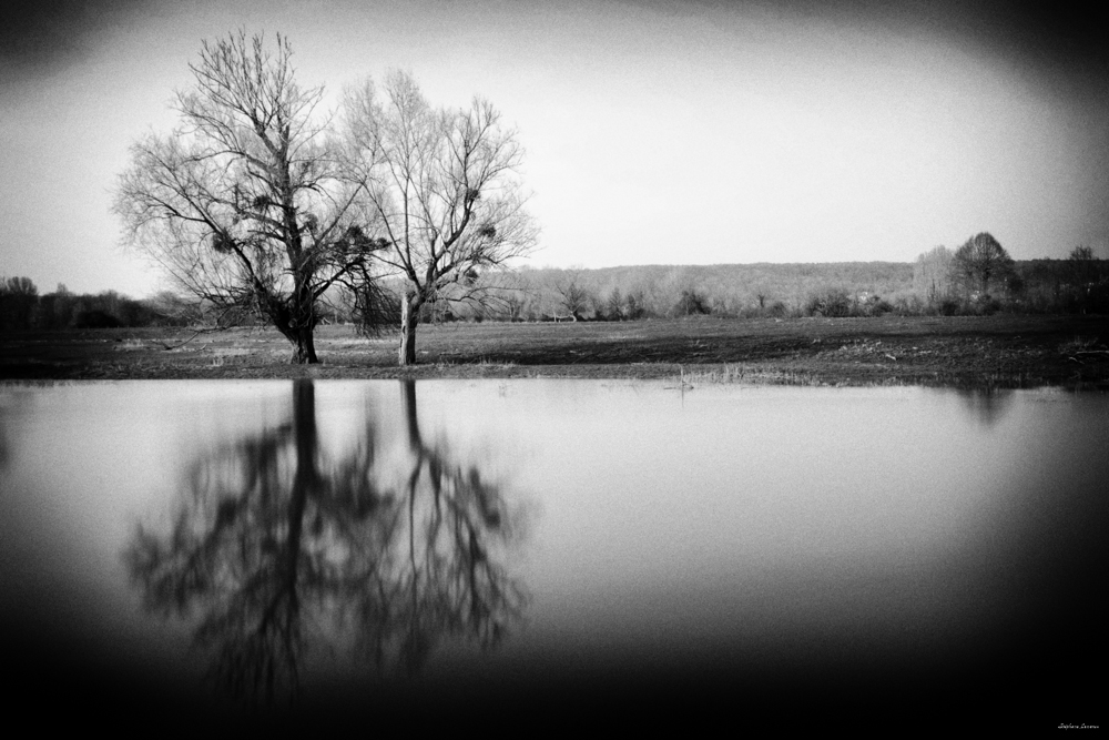 De l'autre côté du miroir 2