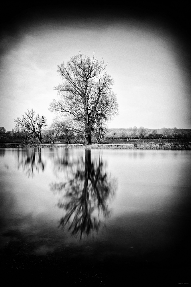 De l'autre côté du miroir