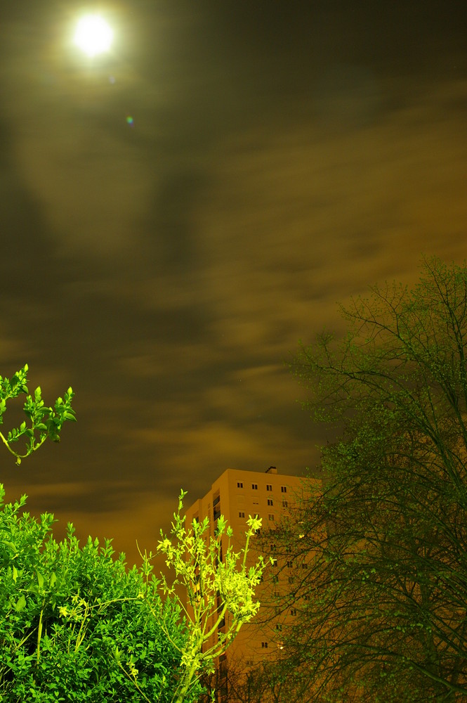 de l'herbe au beton