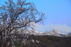 * de l'hiver au  printemps *