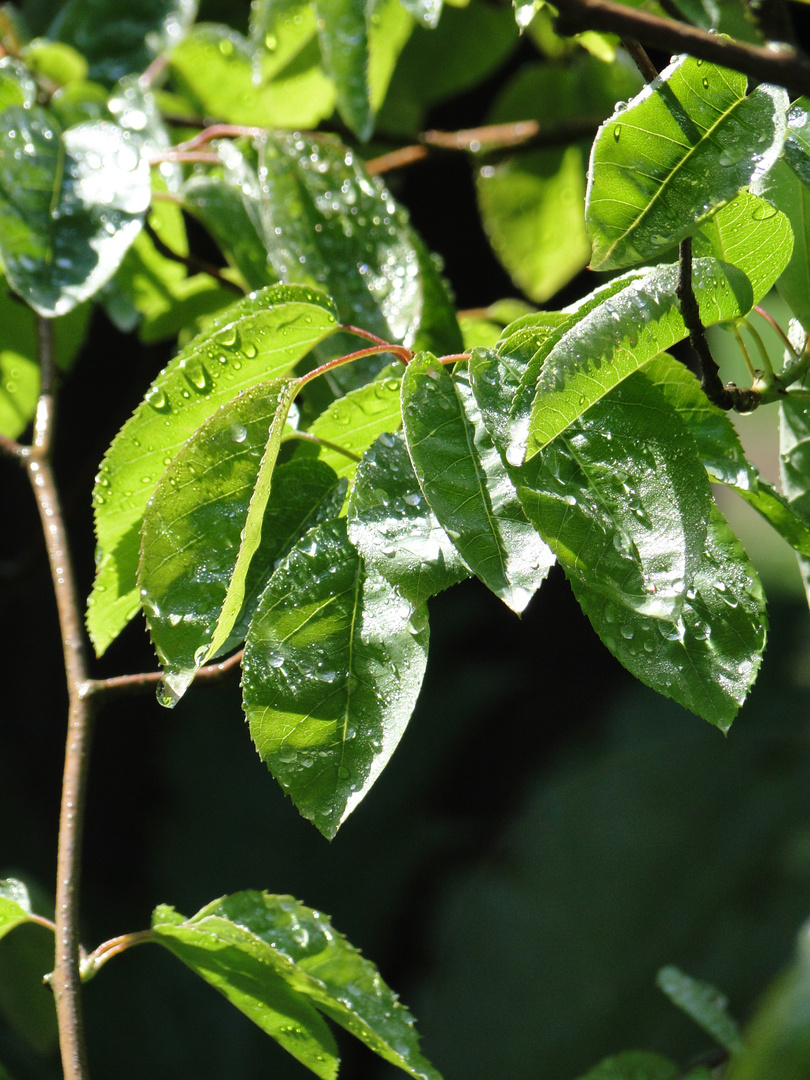 De l'humidité dans l'air