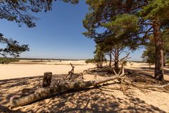 De Loonse en Drunense Duinen - 03