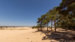 De Loonse en Drunense Duinen - 04