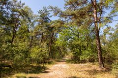 De Loonse en Drunense Duinen - 14