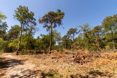 De Loonse en Drunense Duinen - 16