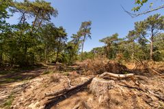 De Loonse en Drunense Duinen - 17