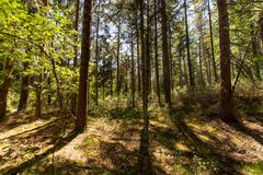 De Loonse en Drunense Duinen - 21