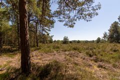 De Loonse en Drunense Duinen - 23