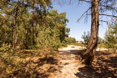 De Loonse en Drunense Duinen - 27