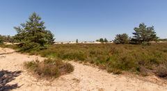 De Loonse en Drunense Duinen - 28